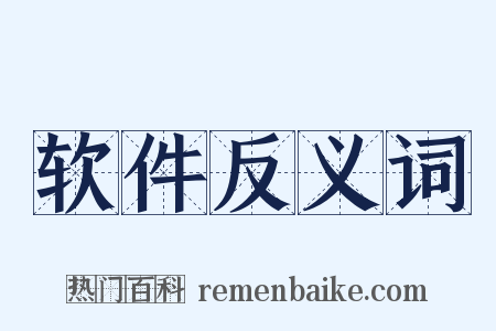 软件反义词是什么意思的图片